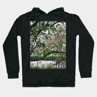 A Peek into Gramercy Park Hoodie